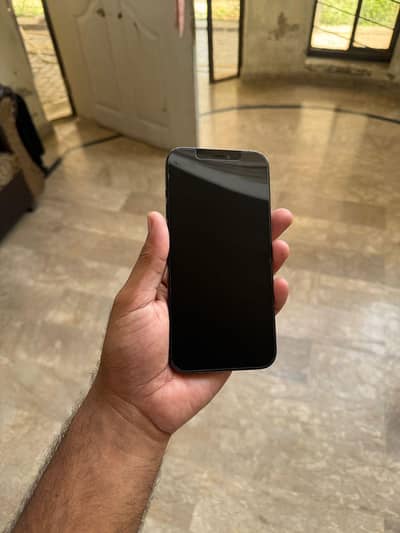 IPhone 12 Pro Max | FU | 84 BH | Panel Change