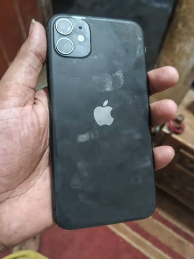 Apple iPhone 11 water pak