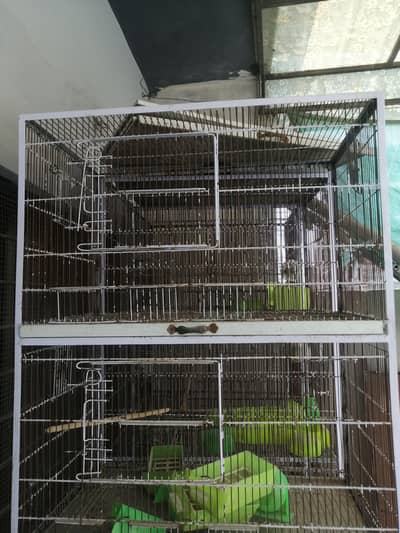 2.5x1.5x1.5 lovebird cages for sale