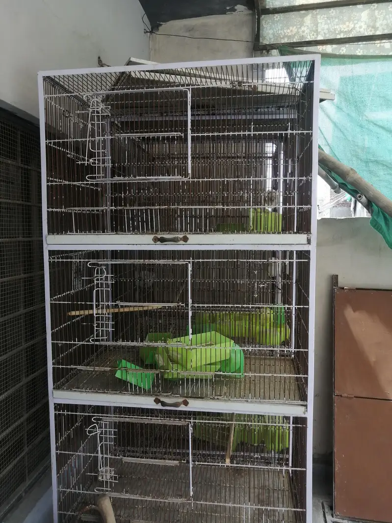 2.5x1.5x1.5 lovebird cages for sale — photo 2