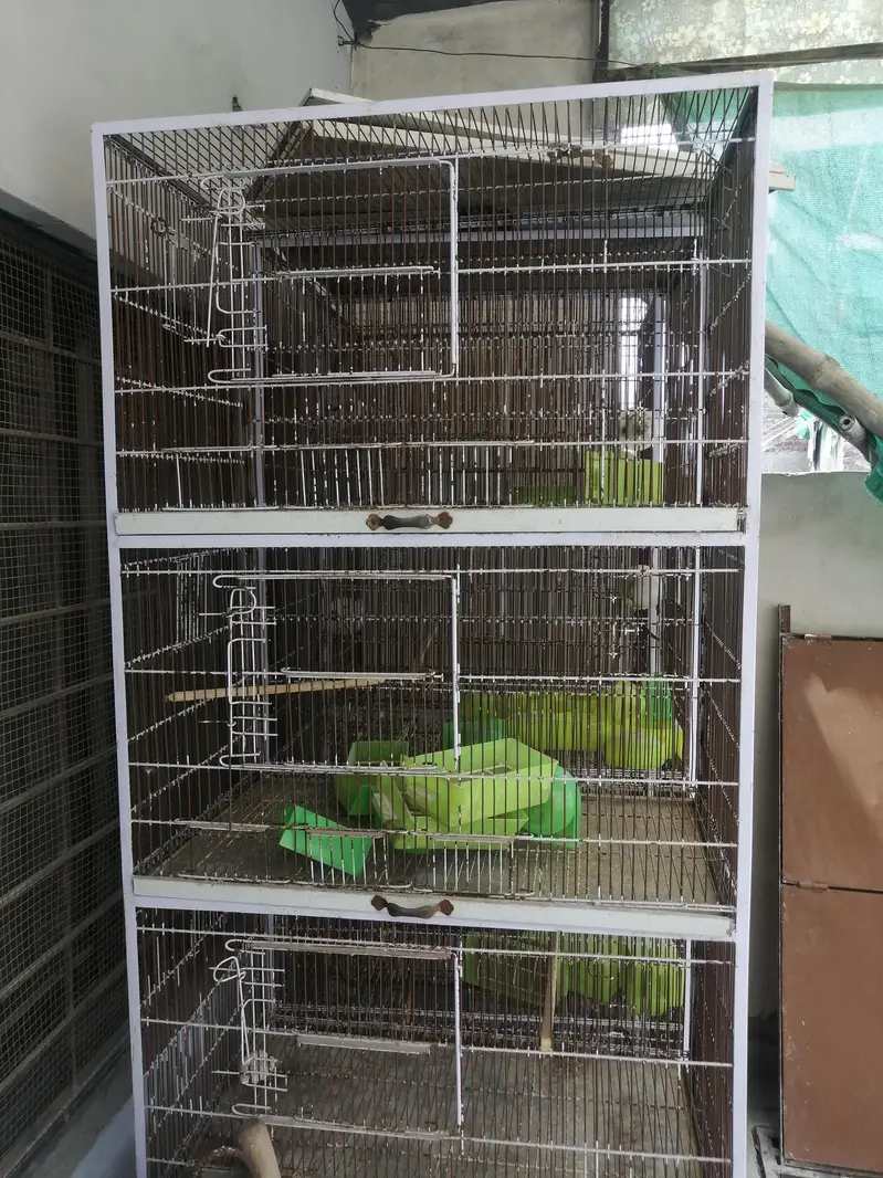 2.5x1.5x1.5 lovebird cages for sale — photo 3