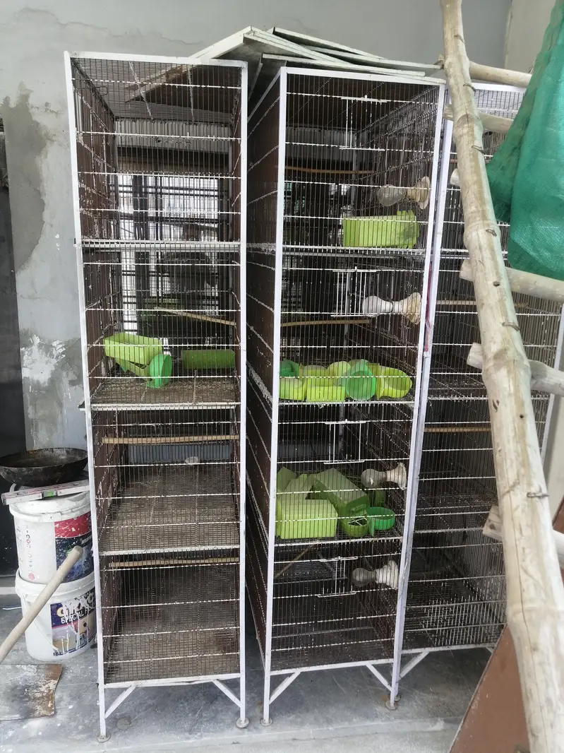 2.5x1.5x1.5 lovebird cages for sale — photo 4