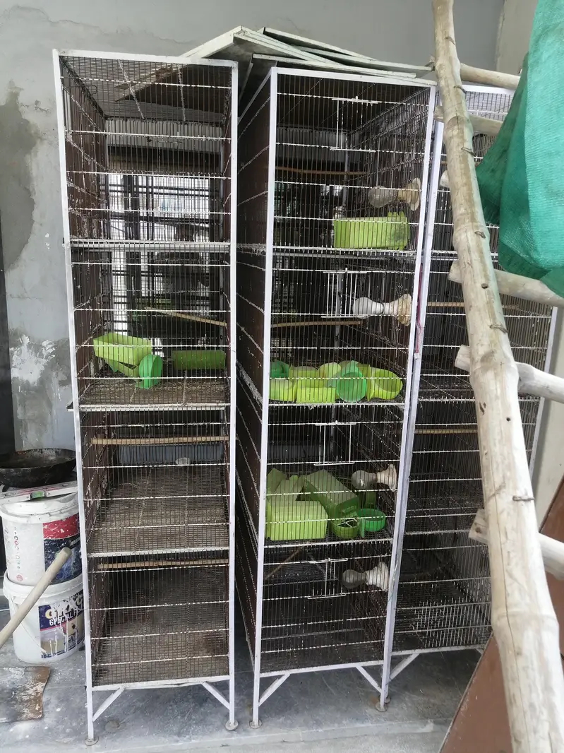 2.5x1.5x1.5 lovebird cages for sale — photo 5
