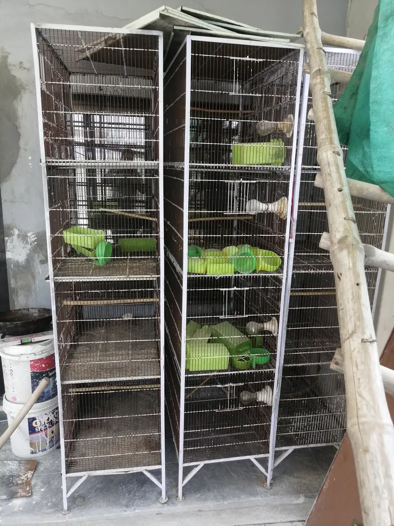 2.5x1.5x1.5 lovebird cages for sale — photo 6