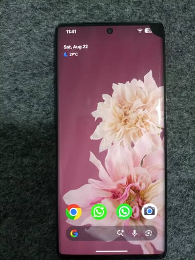 Google Pixel 6 Pro Panel