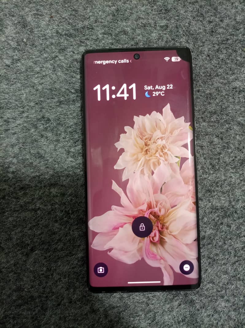 Google Pixel 6 Pro Panel 3