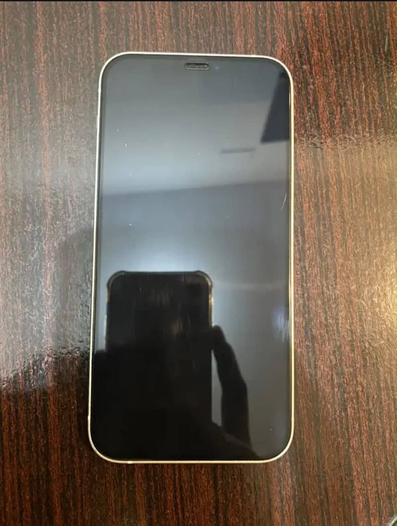 Apple iPhone 12 1