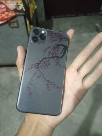 Apple iPhone 11 Pro Max non pta jv exchange posibal