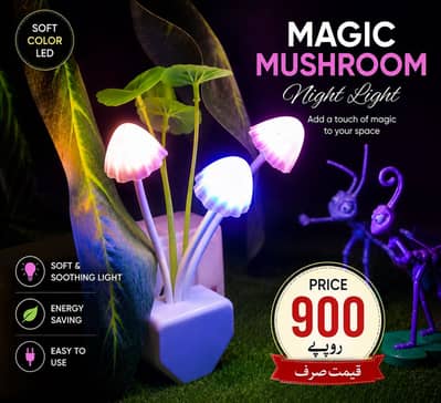 Magic mushroom night light