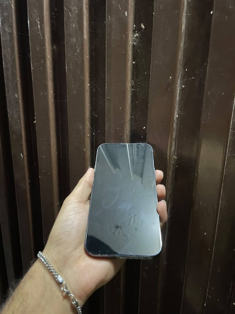 Apple iPhone 13 Pro Max 2
