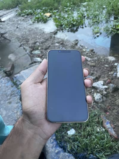 Apple iPhone 13 Pro