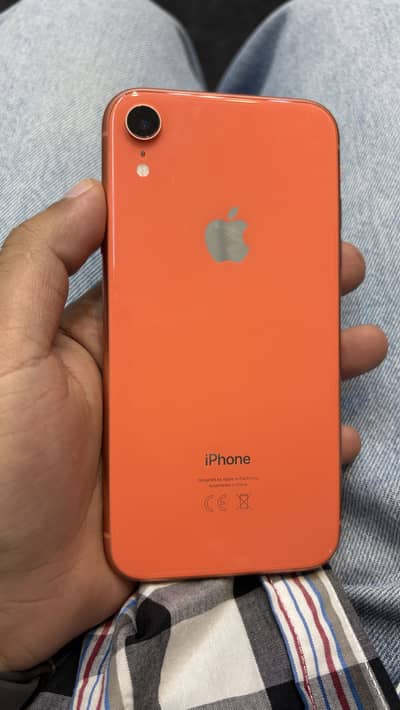 Iphone XR Dual Pta Approved