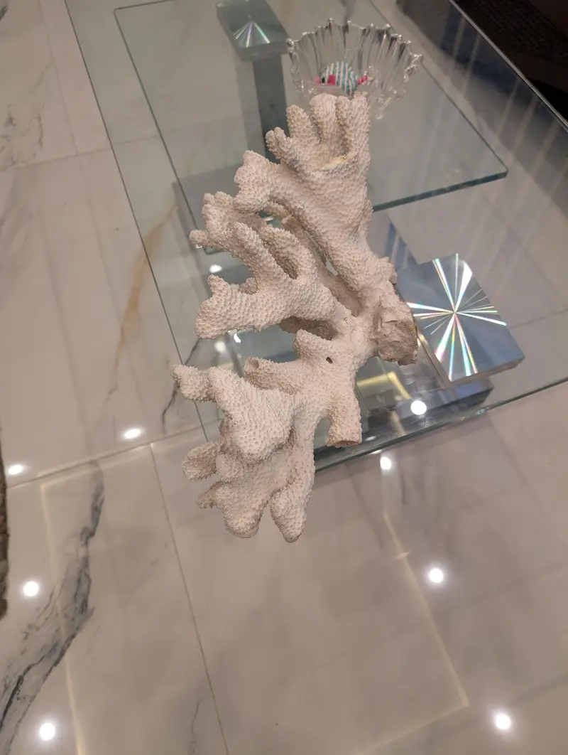 marine coral imported from thailand — photo 3