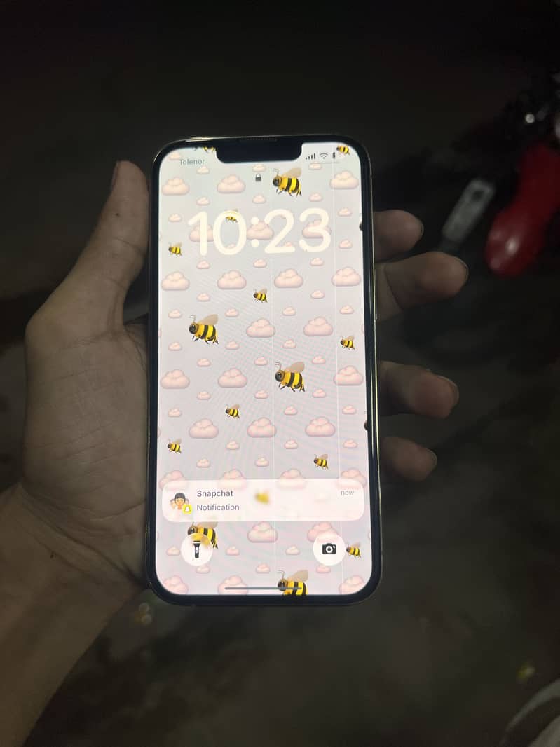 Apple iPhone 13 Pro 2