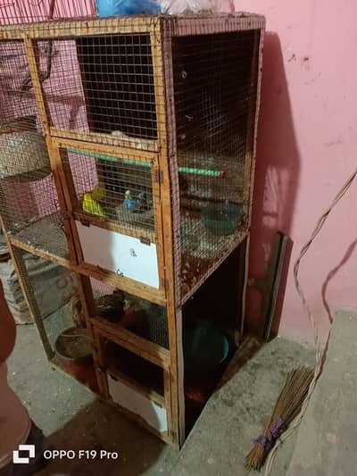 pinjra ok hn tote ni hn sirf pinjra hn