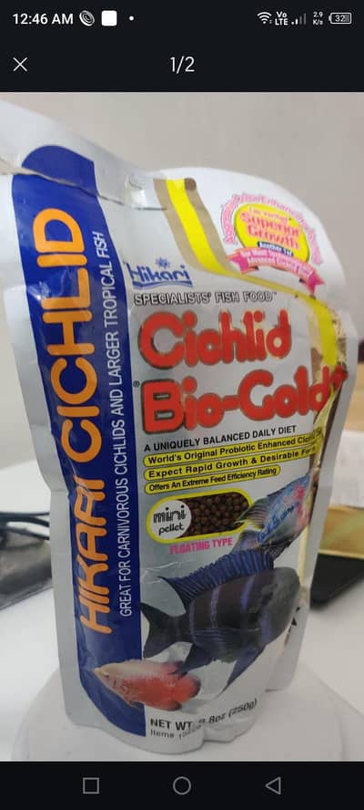 fish feed