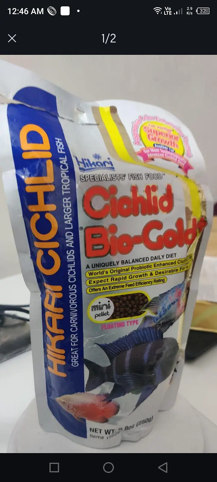 fish feed