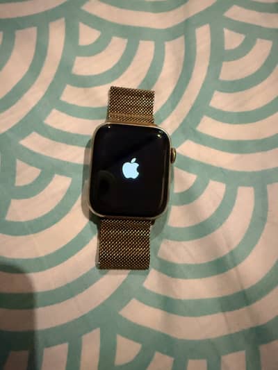 Apple Watch Series 5 (stainless steel)