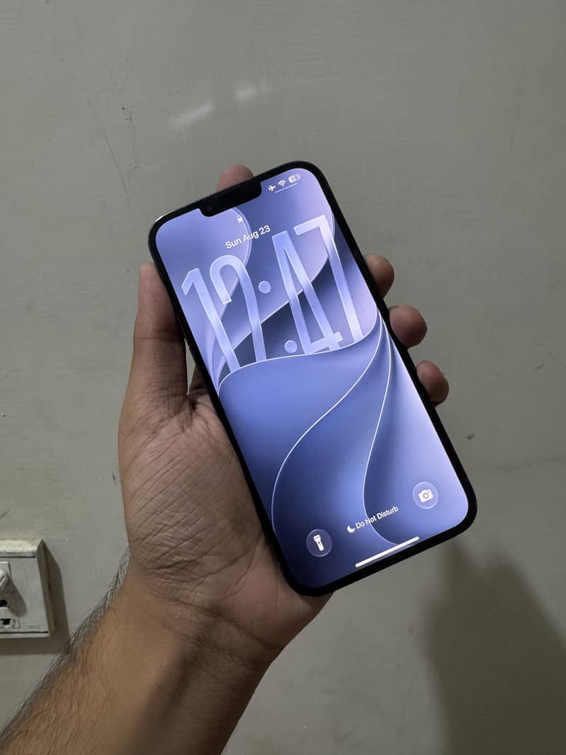 Apple iPhone 13 Pro Max 1