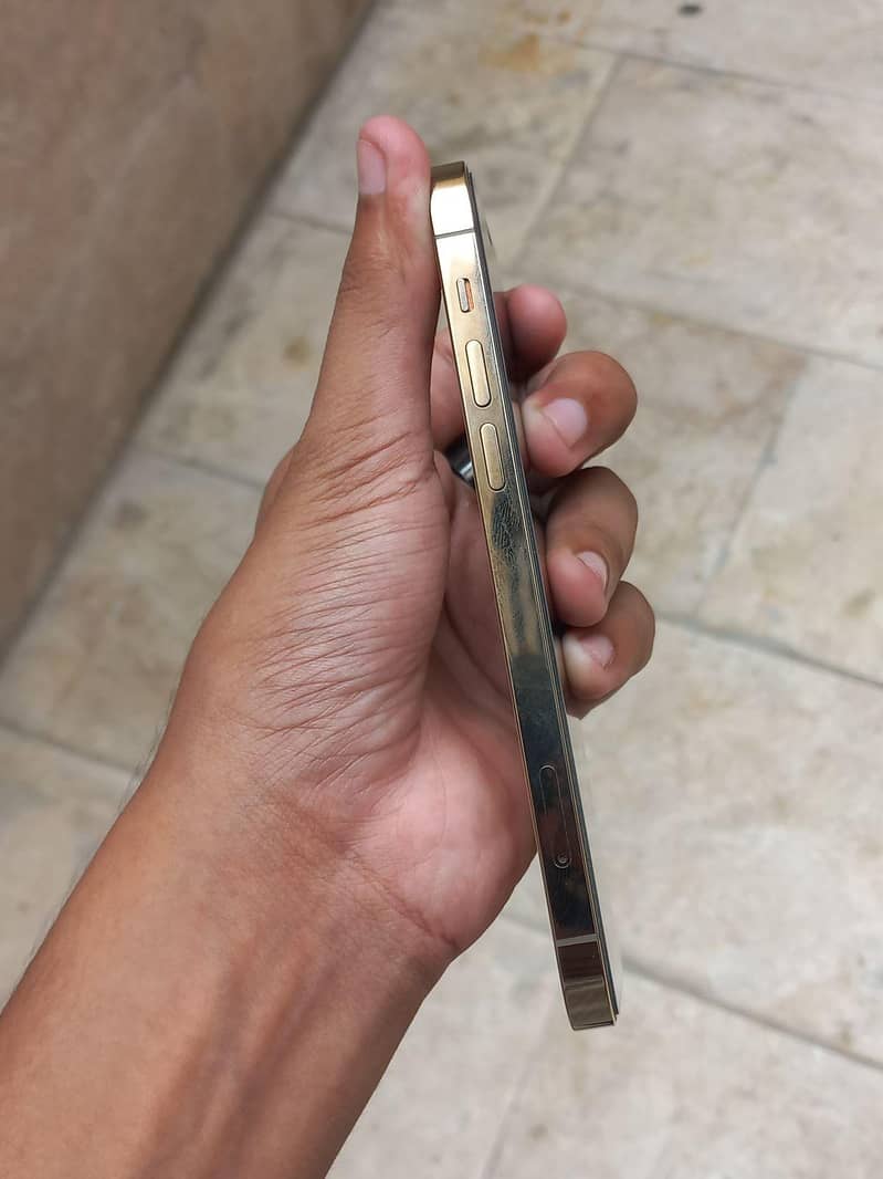 Apple iPhone 12 Pro 2