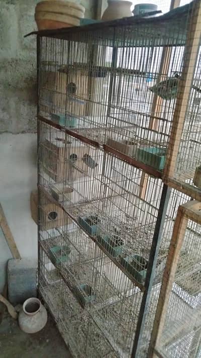 birds cage