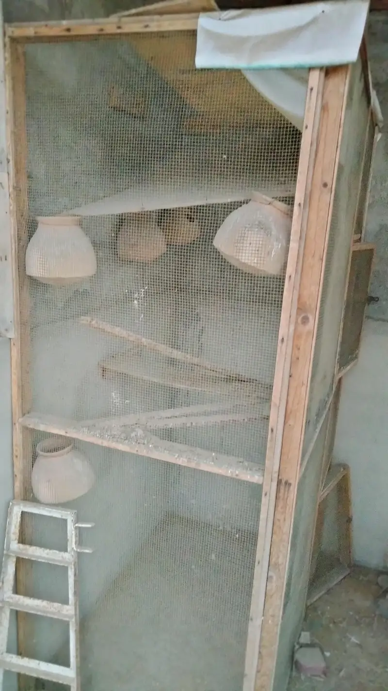 birds cage — photo 2