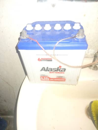 Alaska betrry for sale