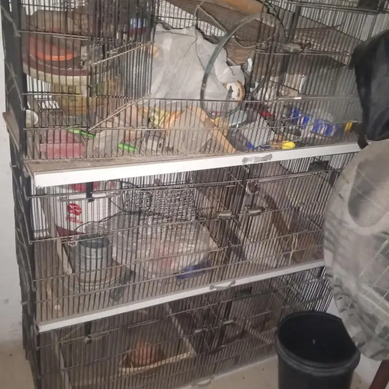 love birds cages boxes pots incubator show bird cage — photo 3