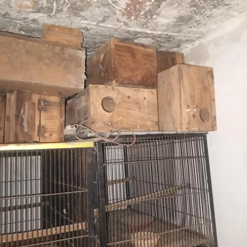 love birds cages boxes pots incubator show bird cage — photo 6