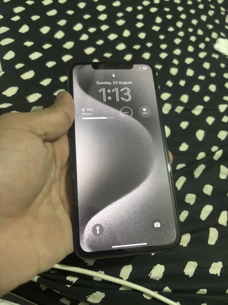 Apple iPhone 11 Pro Max 2