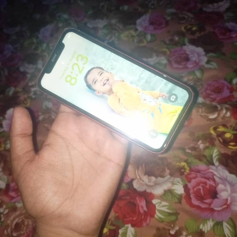 Apple iPhone 11 4