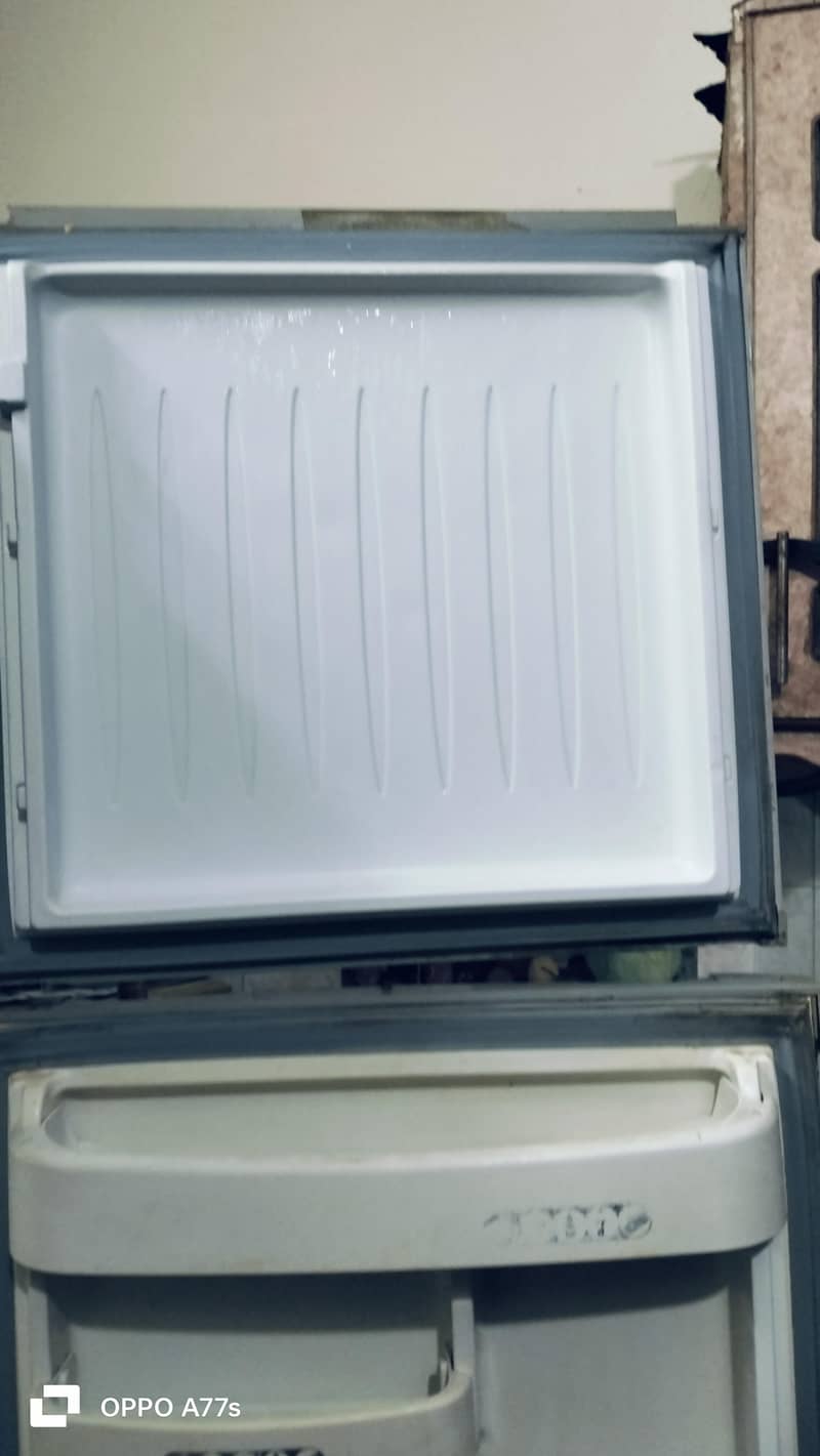 orient large fridge 3