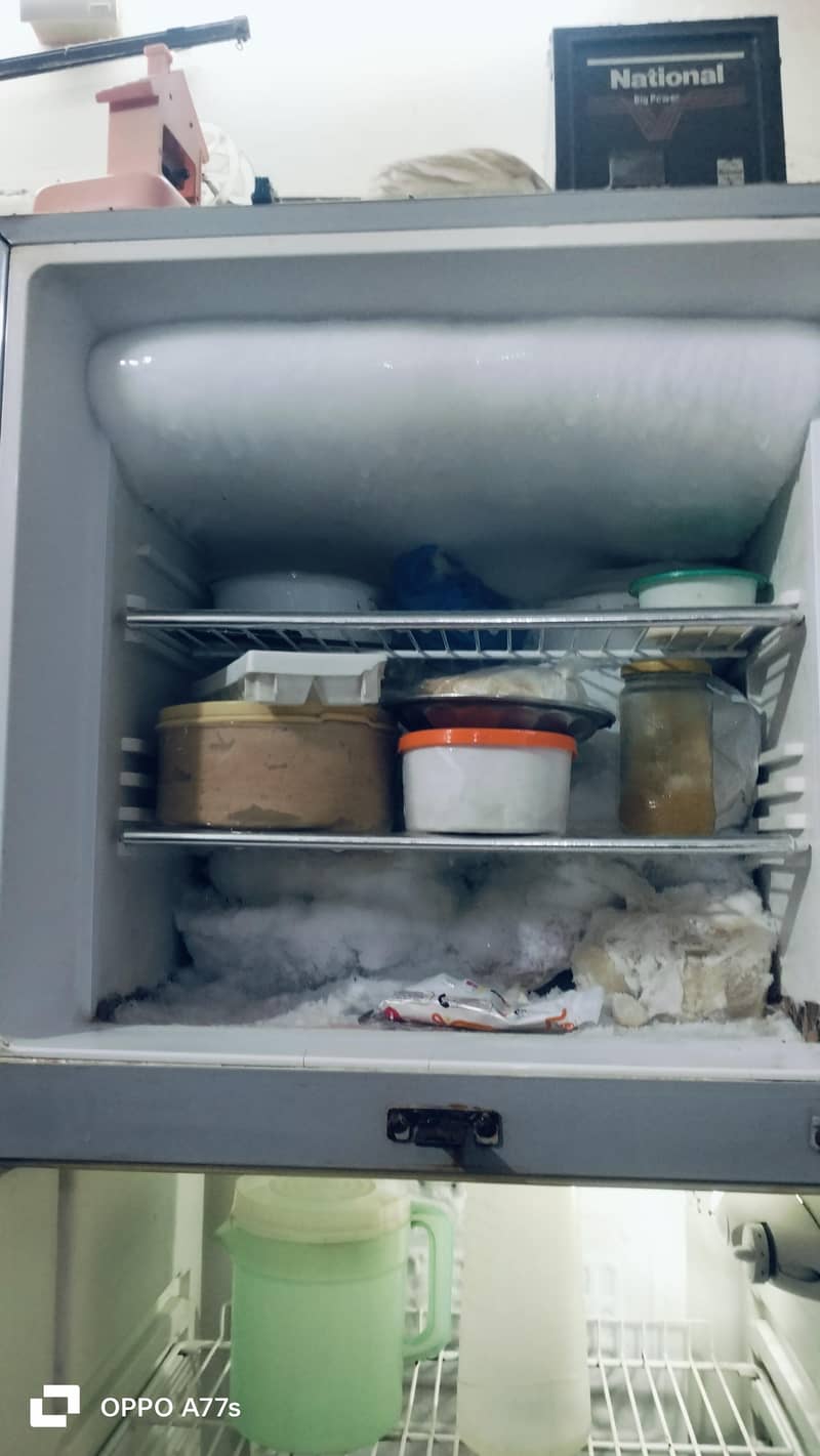 orient large fridge 4
