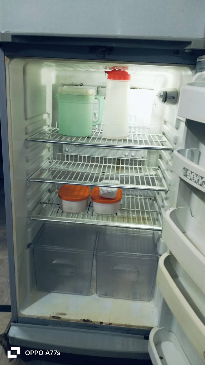 orient large fridge 6