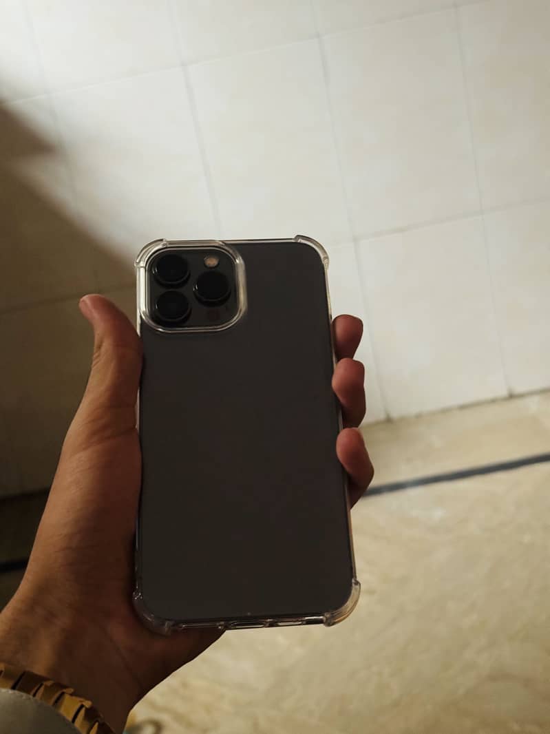 Apple iPhone 13 Pro Max 1