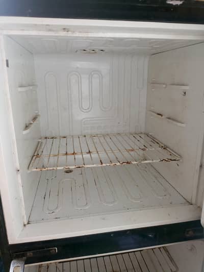 freezer
