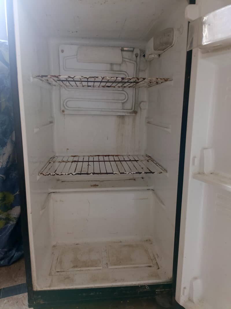 freezer 1