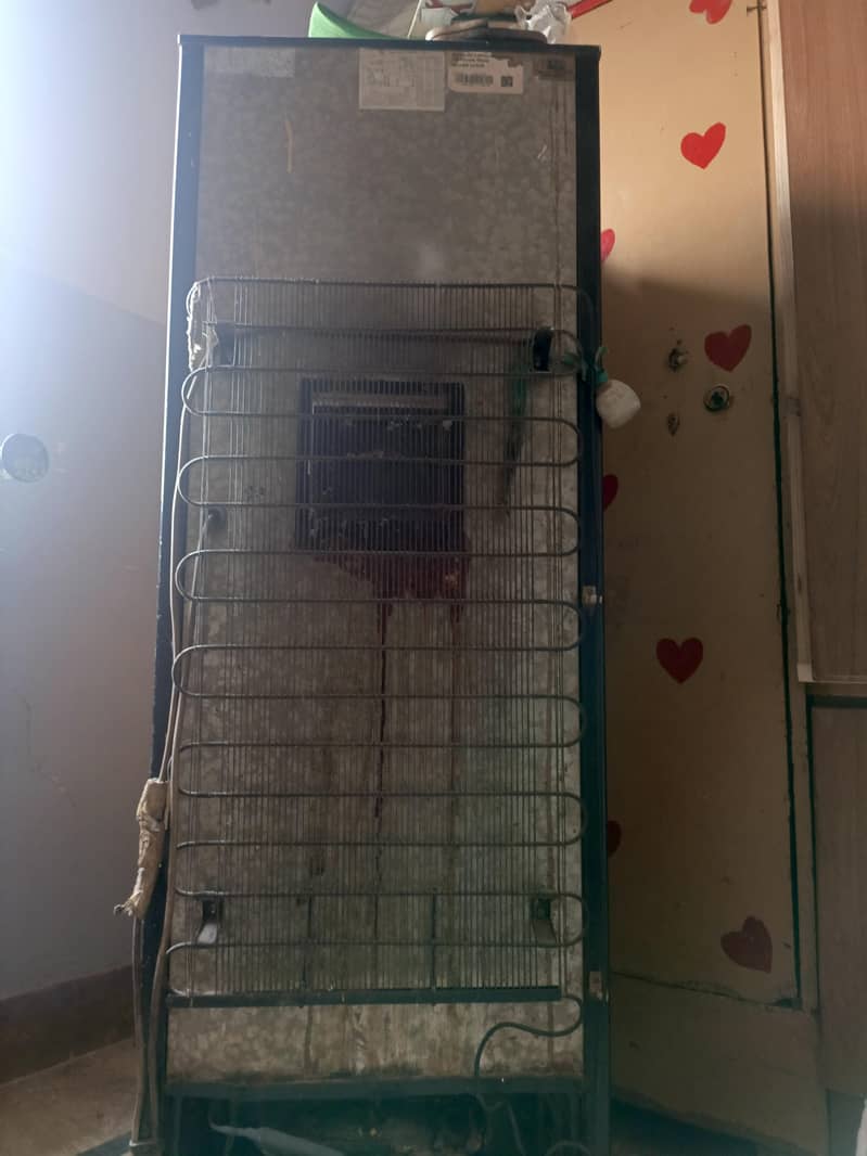 freezer 5