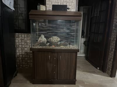 new fish equarium