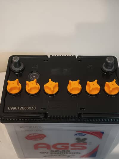 AGS SP-35 12V 20Ah | Genuine & Low Used | Excellent Condition
