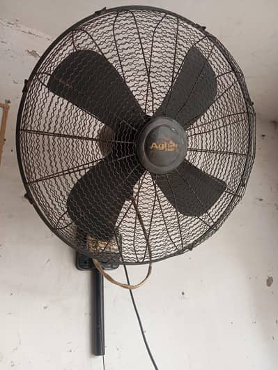 Bracket fan