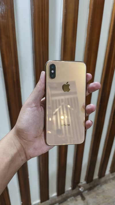 Apple iPhone XS Factory Unlock