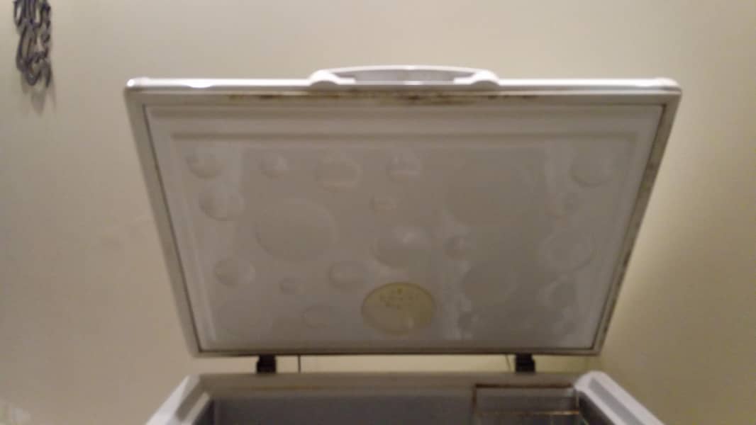 deep freezer 1