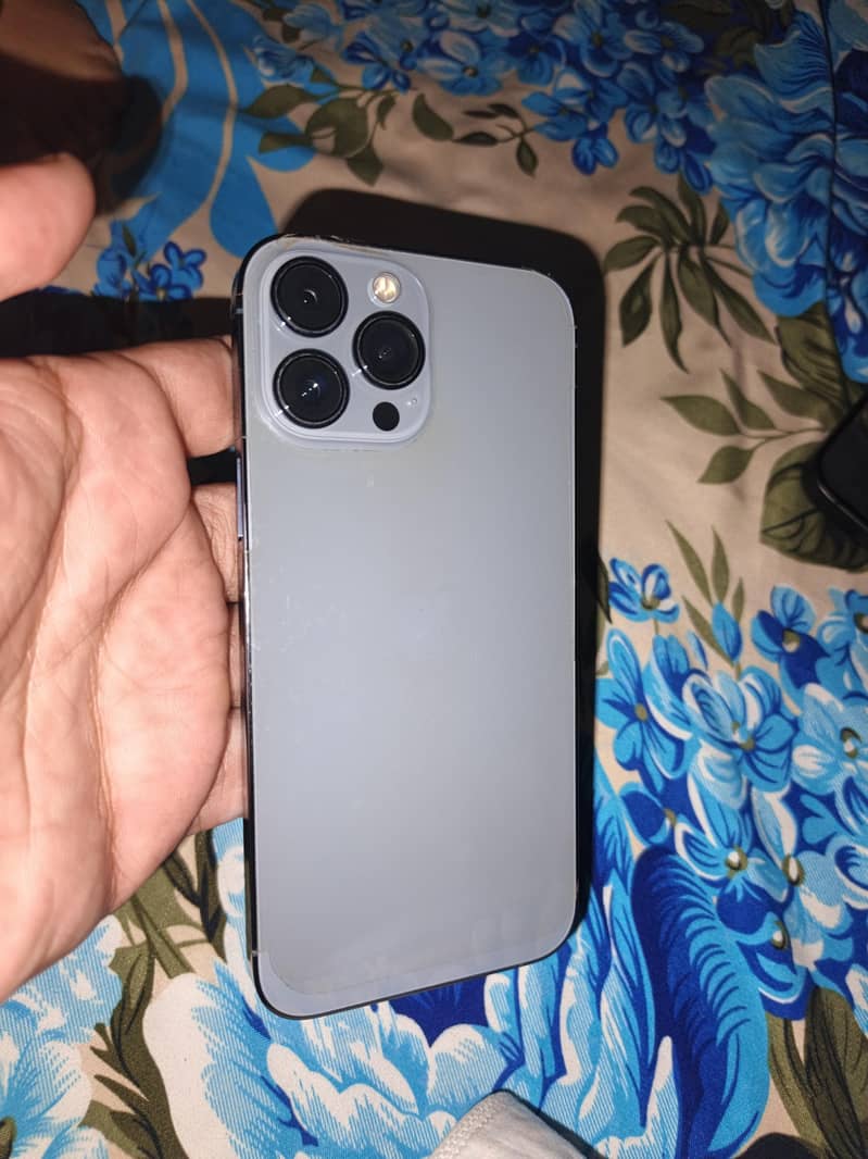 Apple iPhone 13 Pro Max 1
