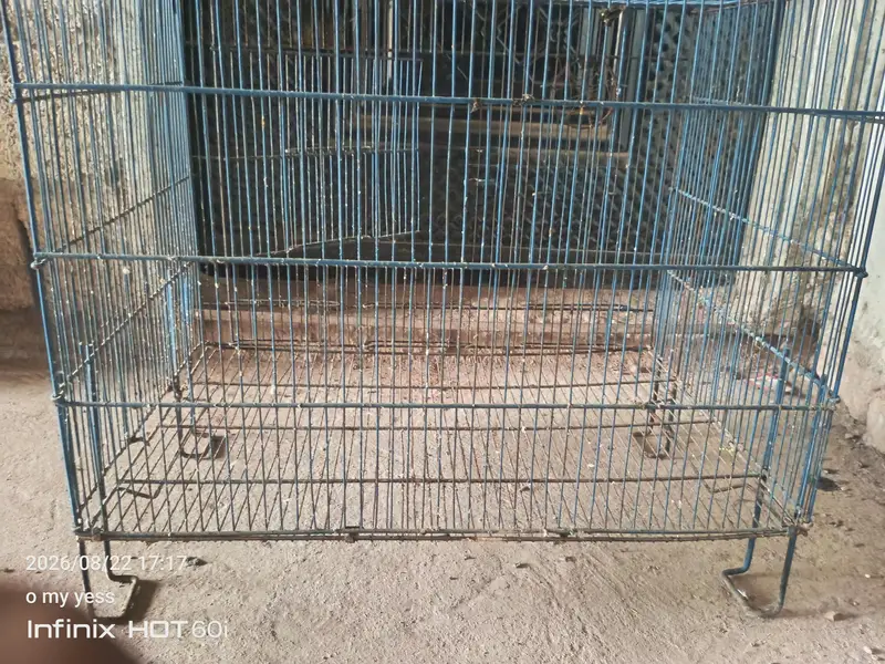 breeding cage for love birds budgies — photo 2