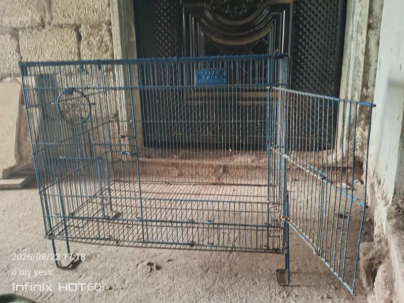 breeding cage for love birds budgies — photo 3