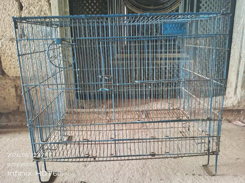 breeding cage for love birds budgies — photo 4
