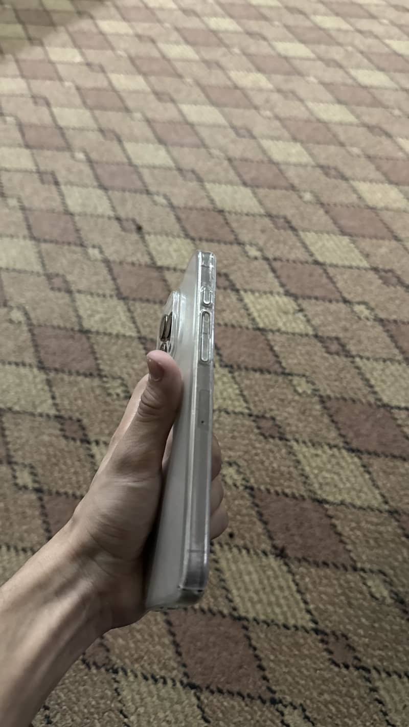Apple iPhone 16 Pro Max 1