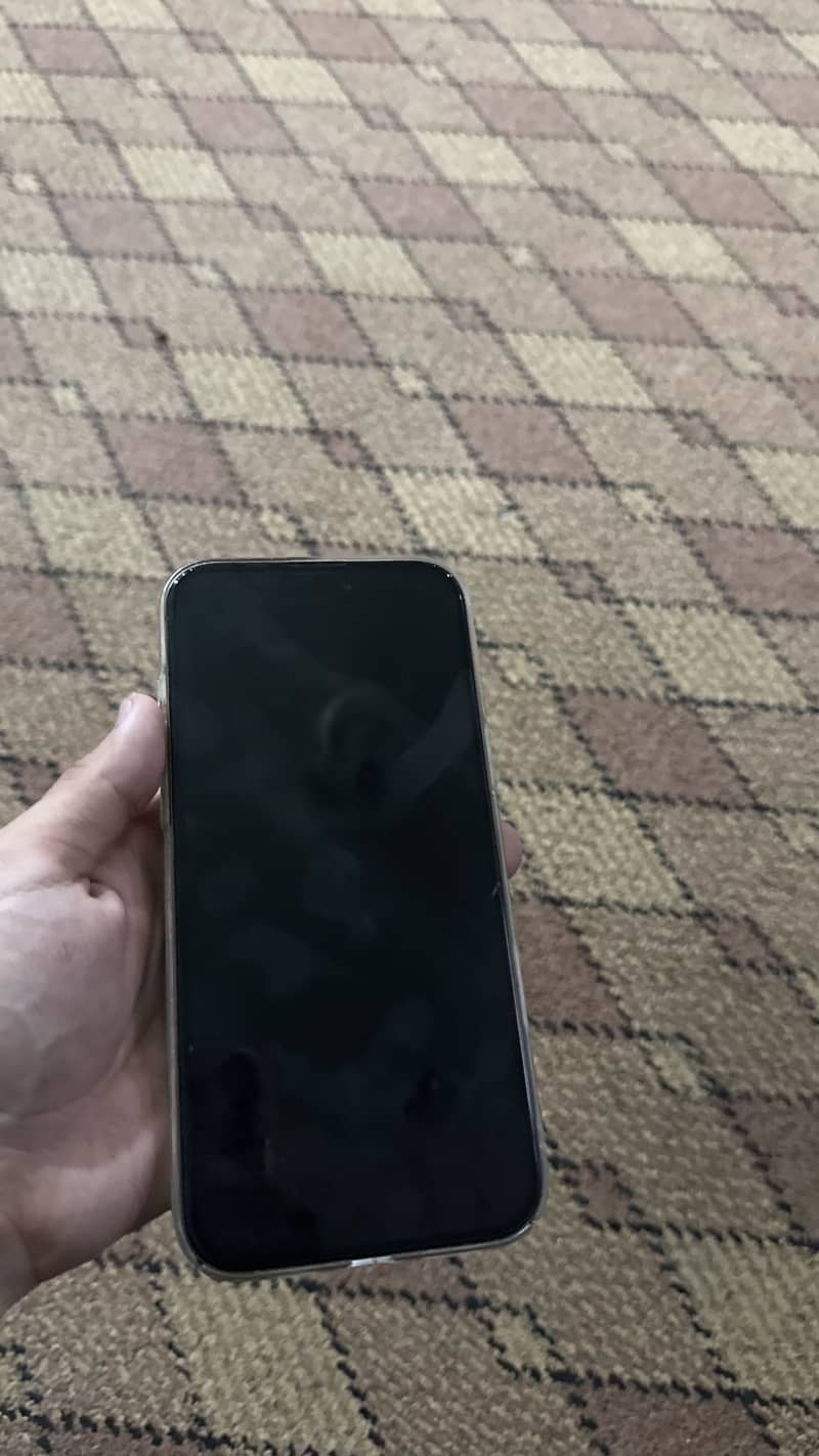 Apple iPhone 16 Pro Max 3