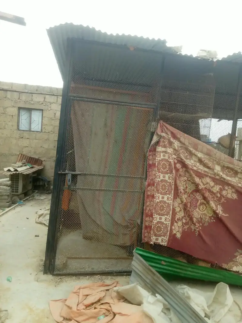 Master Cage for Sale | 8×19 Feet — photo 2